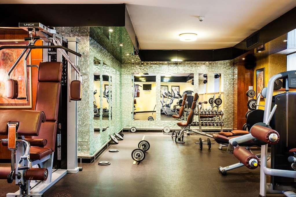 阿奈尔酒店 索菲亞 设施 照片 The gym at the hotel